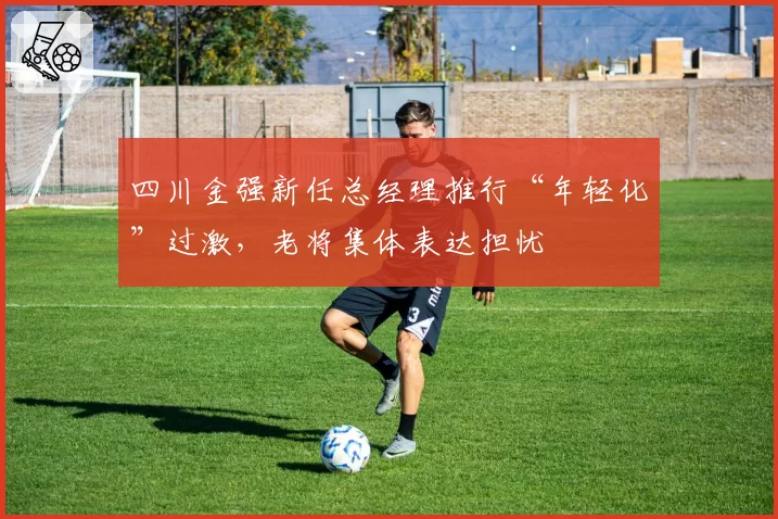 四川金强新任总经理推行“年轻化”过激，老将集体表达担忧