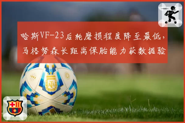 哈斯VF-23后轮磨损程度降至最低，马格努森长距离保胎能力获数据验证