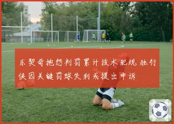 东契奇抱怨判罚累计技术犯规 独行侠因关键罚球失利或提出申诉