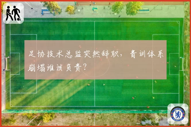 足协技术总监突然辞职，青训体系崩塌谁该负责？